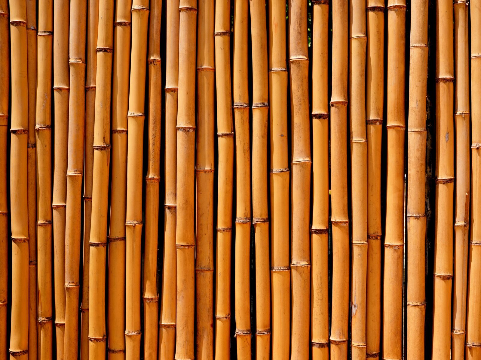 Peluquería Nandy's Terrassa